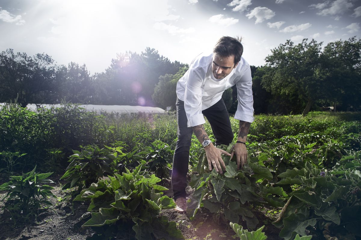 Cook & Chef Institute Foundation launches new Corporate Website