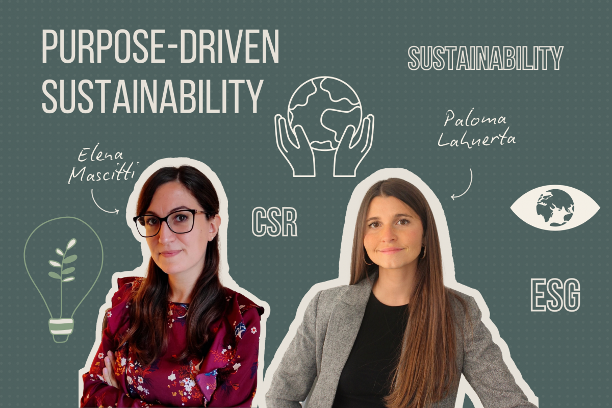 Sustainability, ESG and CSR: vision and management at Bergner