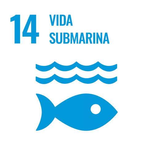 Vida submarina